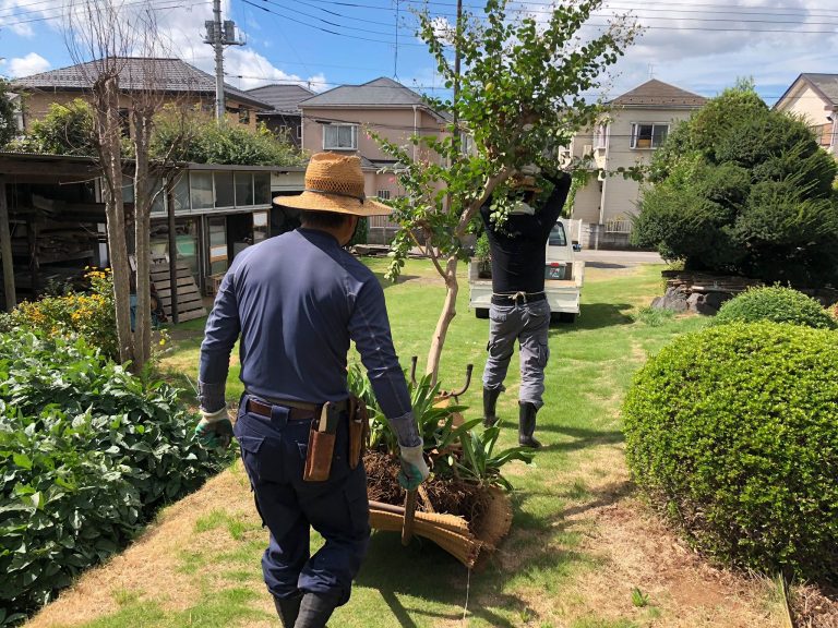 お庭の木を伐採する職人