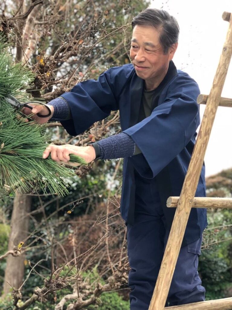 はしごに上って松を手入れする親方