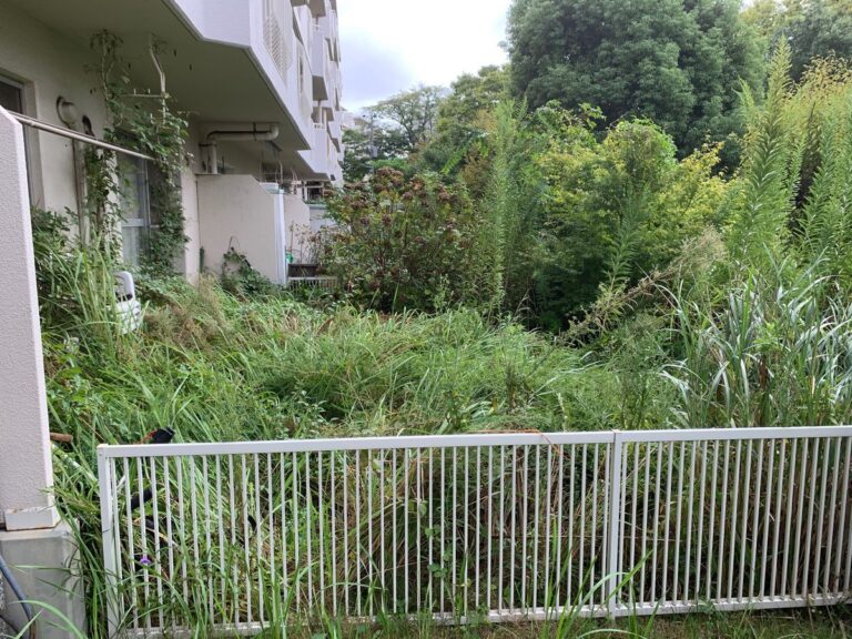 草とりの前（草が背丈まで伸びたお庭）